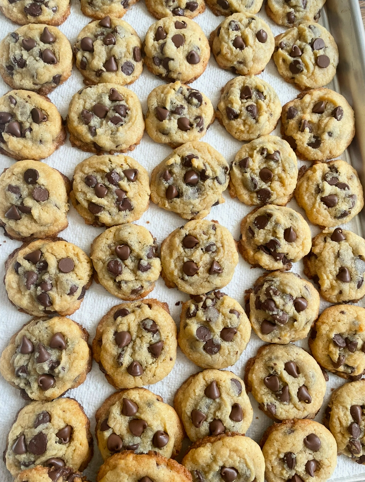 Chocolate chip cookie